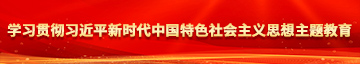 黄啊啊啊啊啊黄啪啪啪视学习贯彻习近平新时代中国特色社会主义思想主题教育